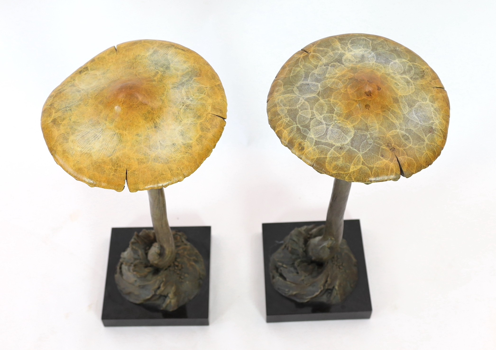 David Goode (British, b.1966). A pair of bronze Psathyrella mushrooms, height 71cm